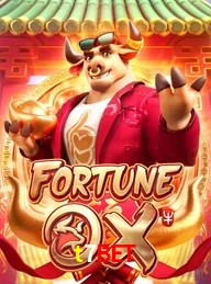 T7BET.COM