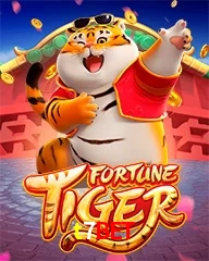 T7BET.COM